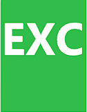 Excel icon